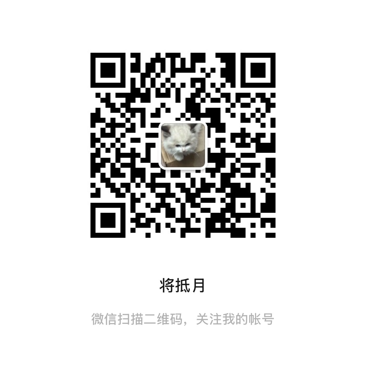 公众号 QR Code