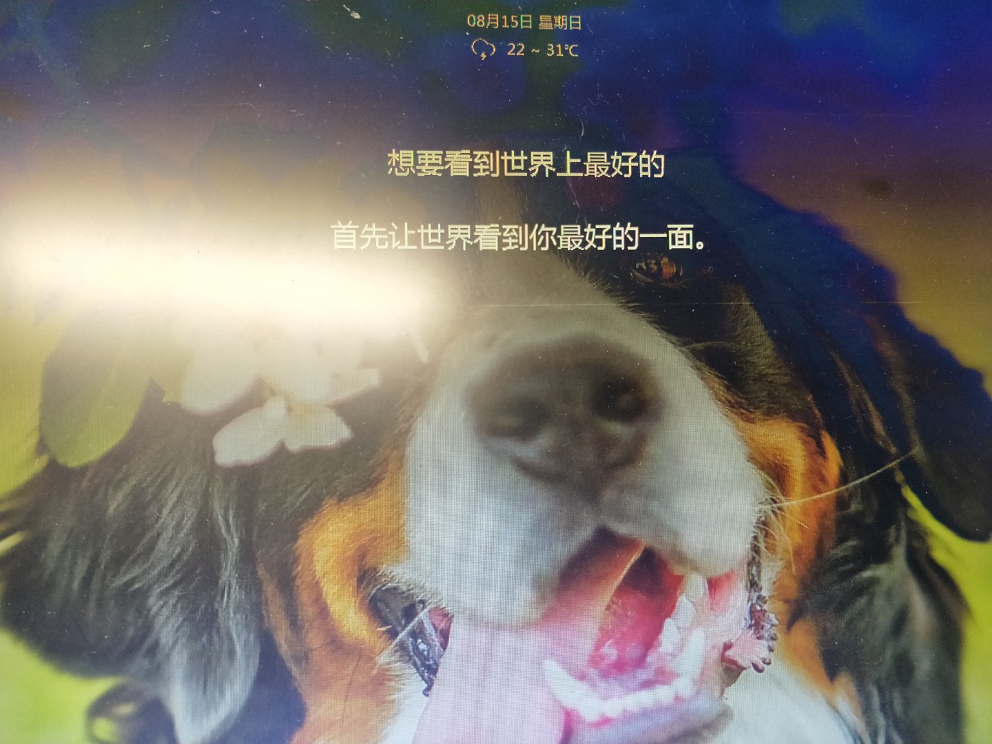 尽全力成为自己